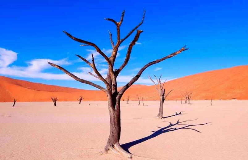 Namibia late October